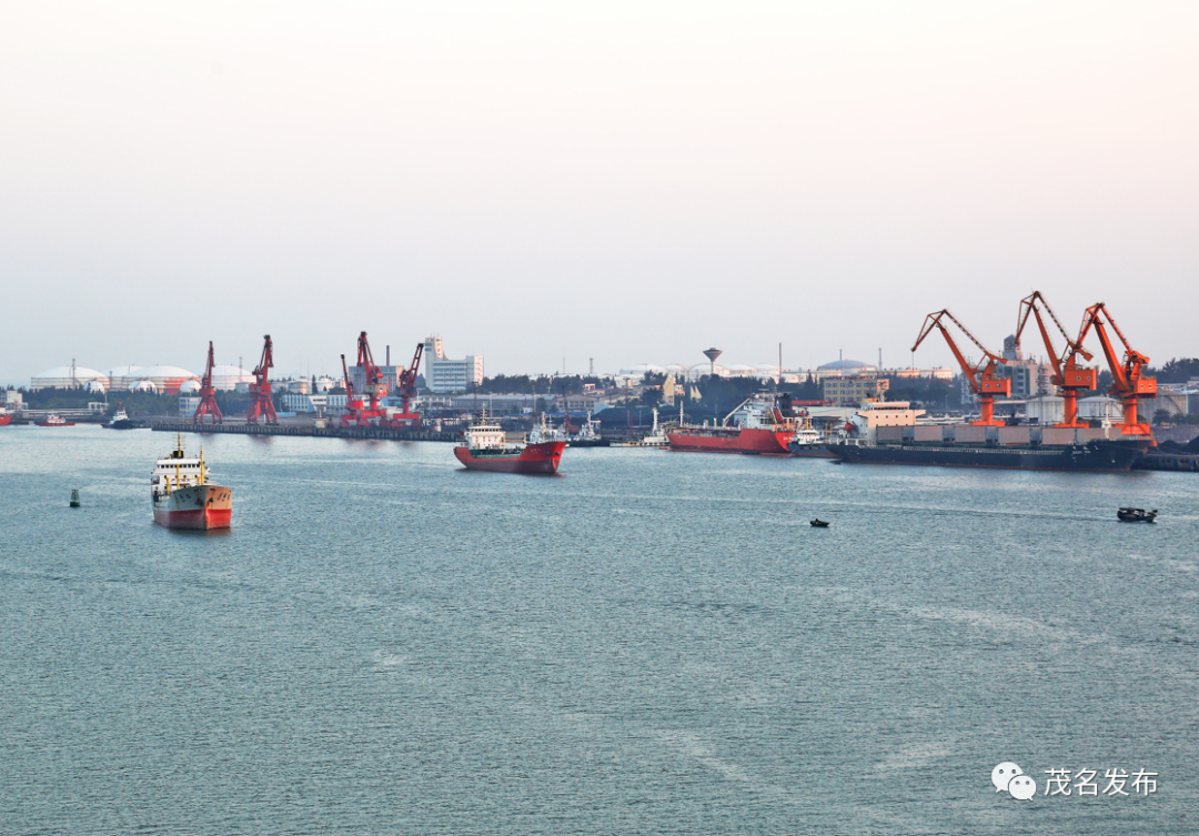 水东港码头.茂名日报社全媒体记者&nbsp;丘立贺 摄