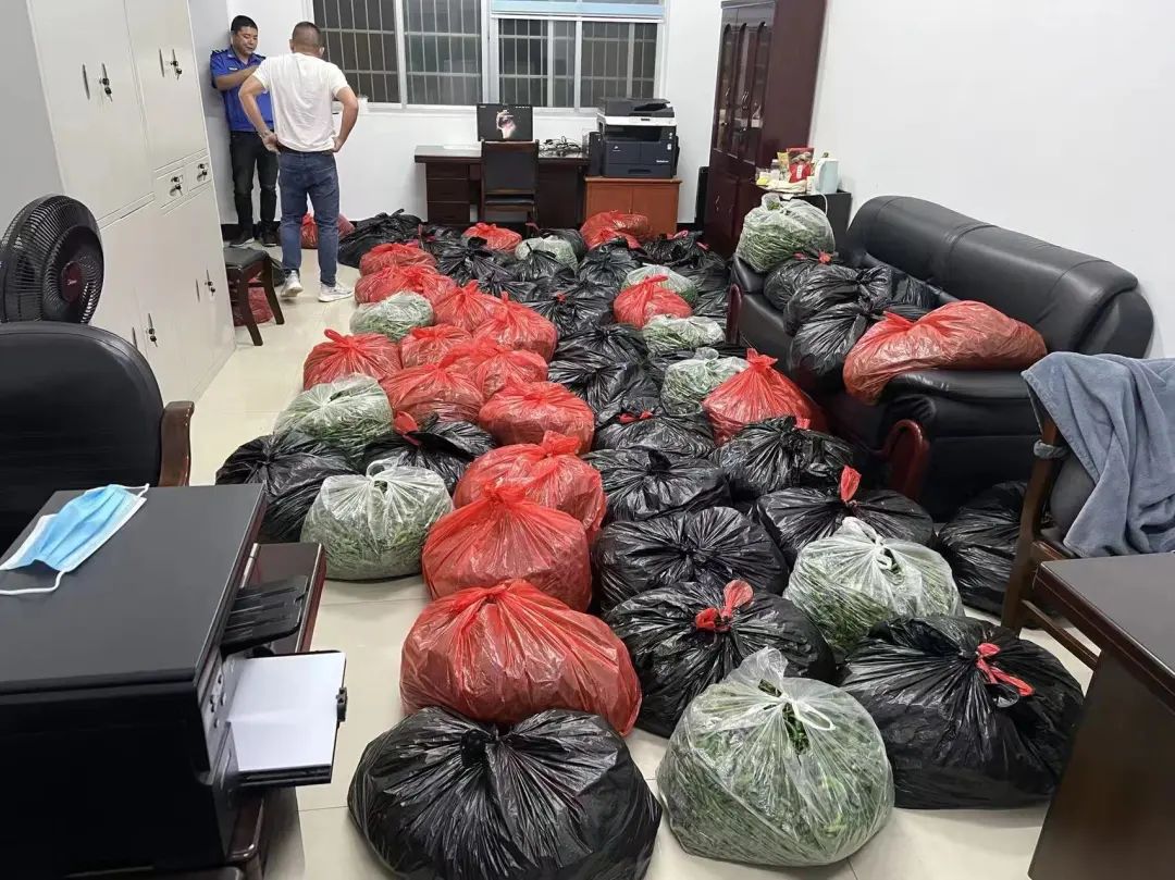 380元/斤，“辣椒中的爱马仕”也有烦恼休闲区蓝鸢梦想 - Www.slyday.coM