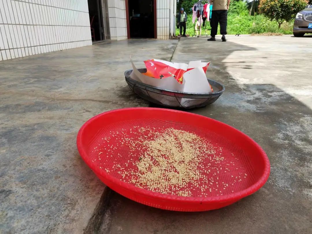 380元/斤，“辣椒中的爱马仕”也有烦恼休闲区蓝鸢梦想 - Www.slyday.coM