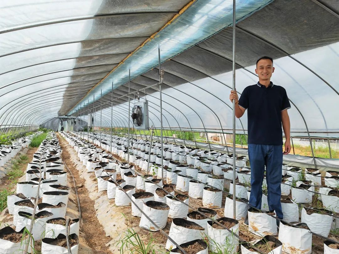 380元/斤，“辣椒中的爱马仕”也有烦恼休闲区蓝鸢梦想 - Www.slyday.coM