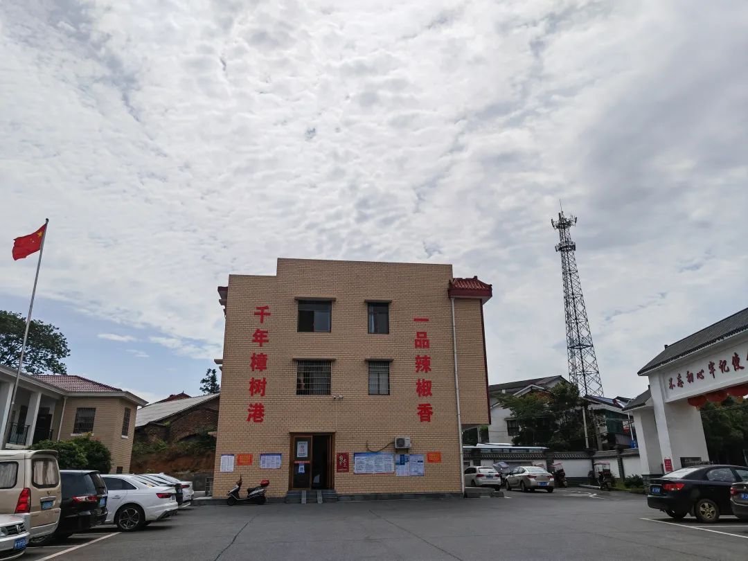 380元/斤，“辣椒中的爱马仕”也有烦恼休闲区蓝鸢梦想 - Www.slyday.coM