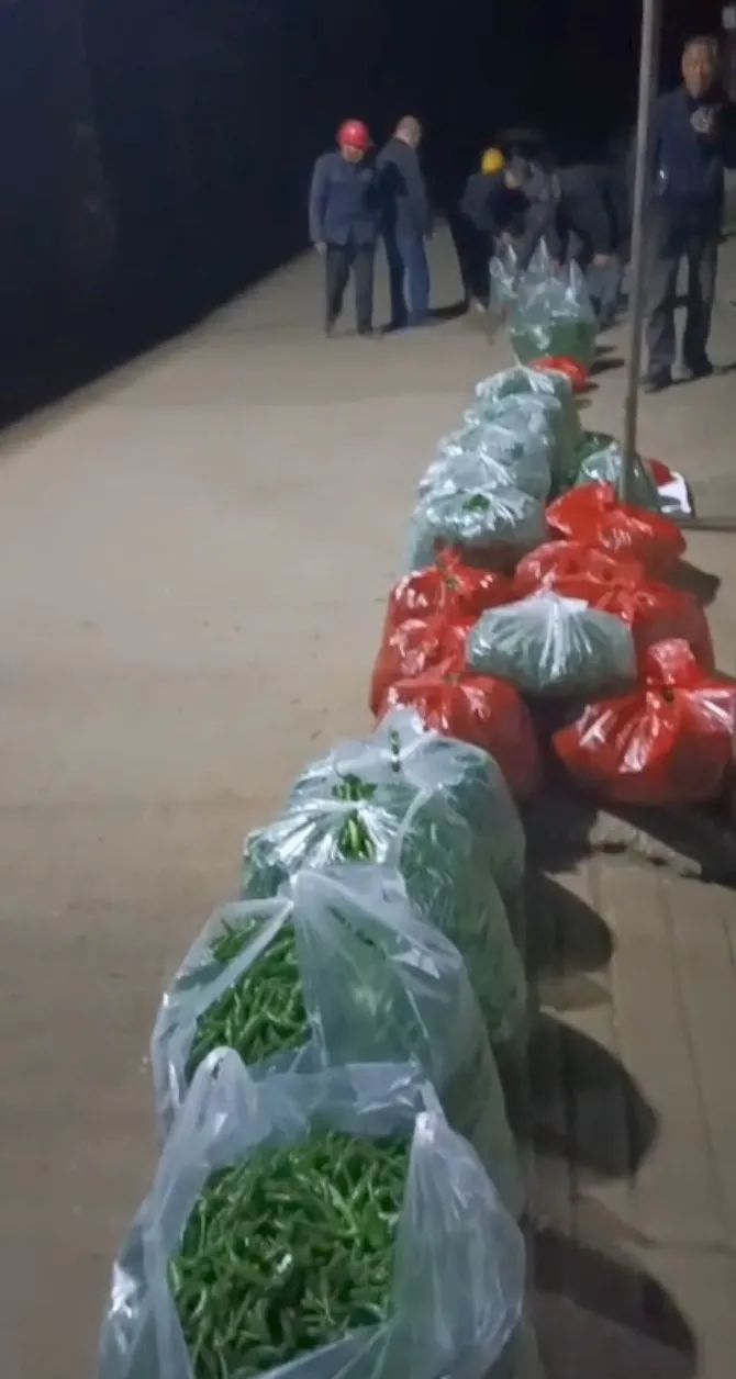 380元/斤，“辣椒中的爱马仕”也有烦恼休闲区蓝鸢梦想 - Www.slyday.coM