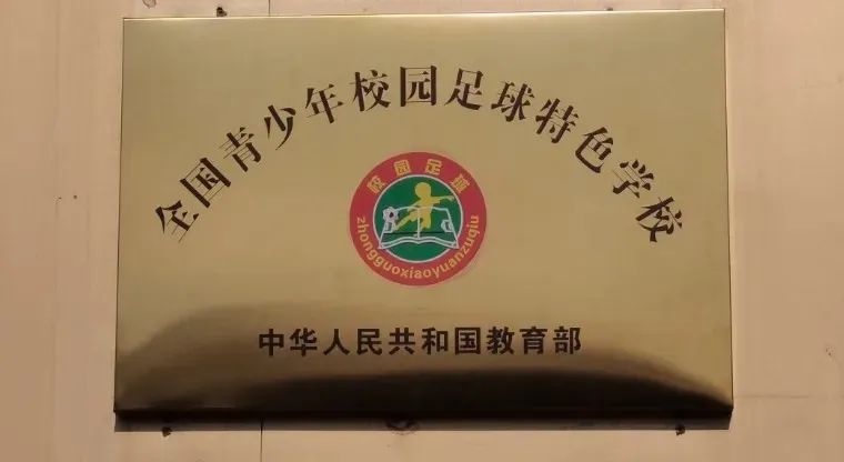 中国青少年足球联赛的名头很大，但关键在于能否扎扎实实打上几年休闲区蓝鸢梦想 - Www.slyday.coM