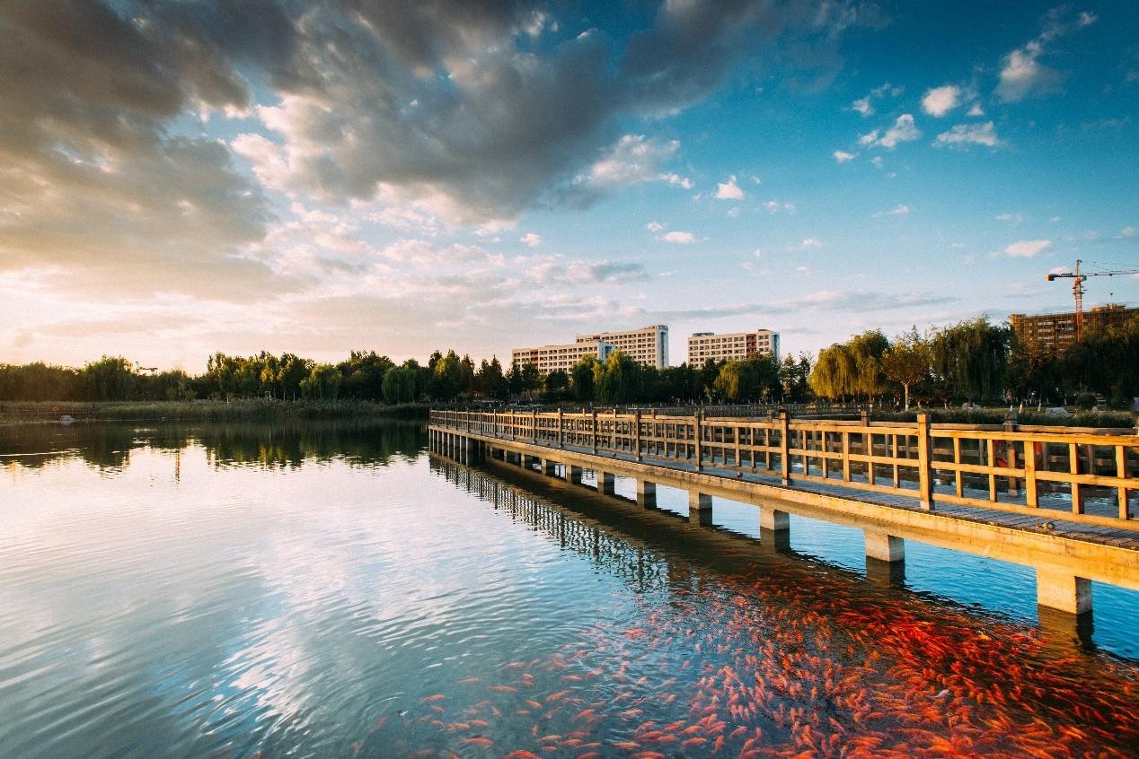 加速良乡大学城发展打造世界一流科教产业融合新城