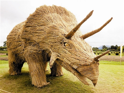 瓦拉稻草艺术节