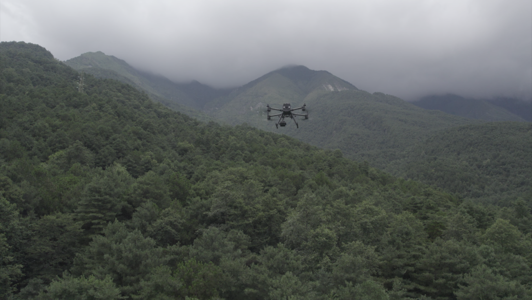 5G领航 扬帆未来丨苍山洱海网联无人机：联通5G为绿水青山安上“智慧天眼”