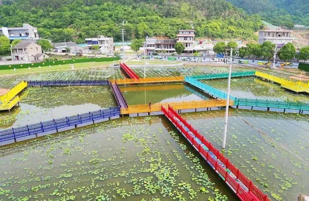 有生活休闲区蓝鸢梦想 - Www.slyday.coM 有生活休闲区蓝鸢梦想 - Www.slyday.coM