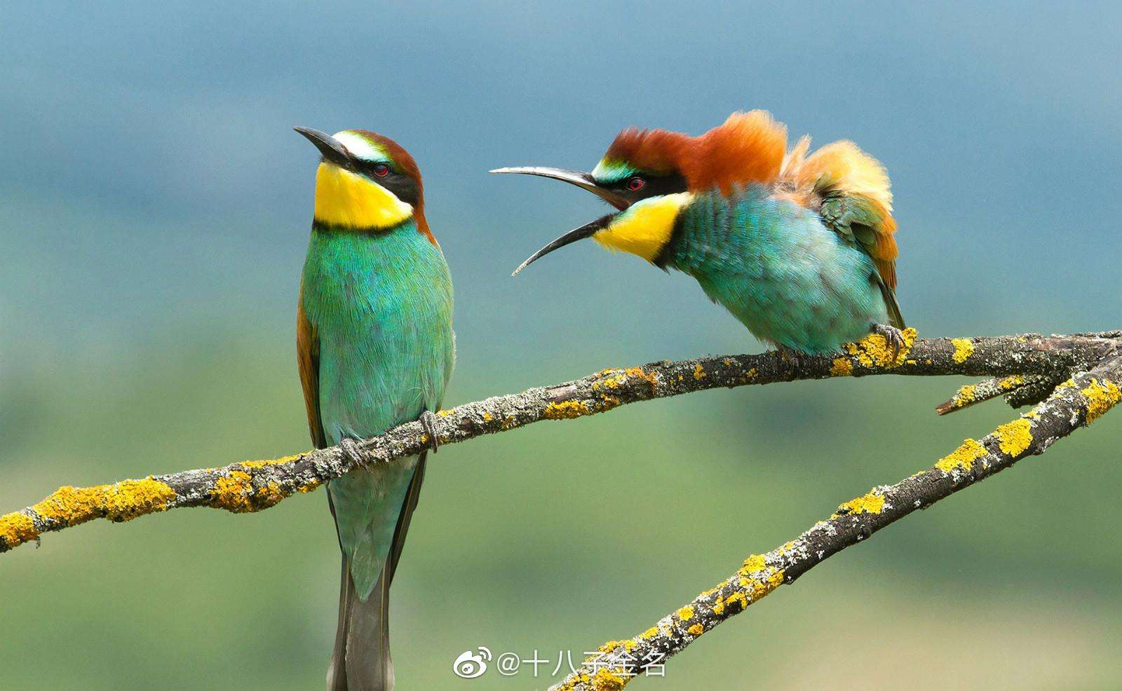 这是一句在熟悉不过的公益广告了：没有买卖就没有杀害……休闲区蓝鸢梦想 - Www.slyday.coM
