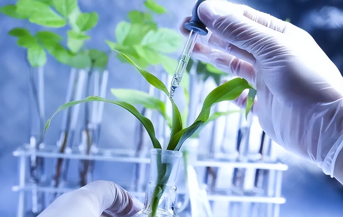 一是因为农业面临可持续性挑战,熊猫资本认为,生物技术正在将原先依托