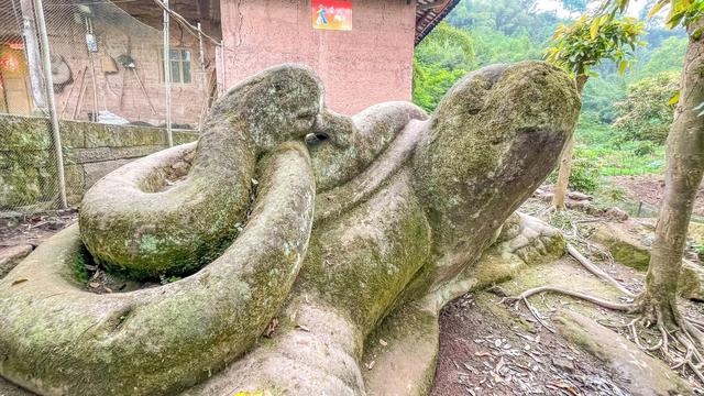 四川泸州发现一座宋代城堡,四座城门保存完好,城内美如世外桃源休闲区蓝鸢梦想 - Www.slyday.coM 四川泸州发现一座宋代城堡,四座城门保存完好,城内美如世外桃源休闲区蓝鸢梦想 - Www.slyday.coM