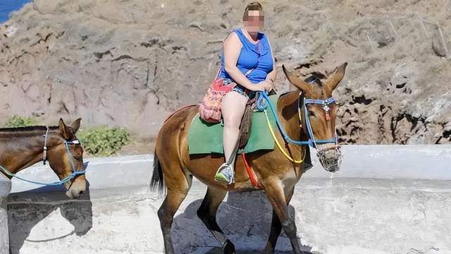 惨！你见过这样瘦骨嶙峋的大象吗？动物可以被人类虐待得多惨？休闲区蓝鸢梦想 - Www.slyday.coM