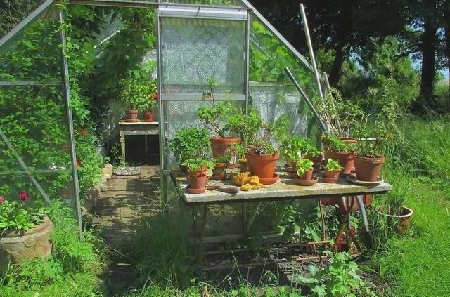 为什么德国人就没有婆媳矛盾?3个不同点,我们可能很难做到休闲区蓝鸢梦想 - Www.slyday.coM 为什么德国人就没有婆媳矛盾?3个不同点,我们可能很难做到休闲区蓝鸢梦想 - Www.slyday.coM