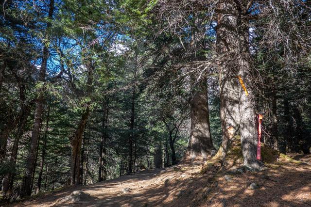 超多人选择徒步去雨崩,因为这里囊括了世界最美的景色休闲区蓝鸢梦想 - Www.slyday.coM 超多人选择徒步去雨崩,因为这里囊括了世界最美的景色休闲区蓝鸢梦想 - Www.slyday.coM