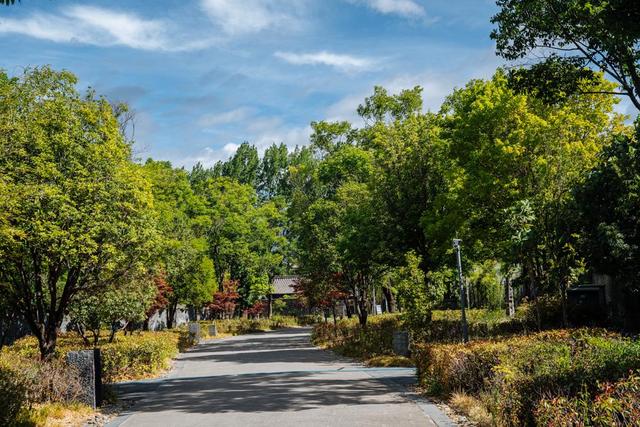 丽江铂尔曼的酒店太舒服了,泡浴缸、晒太阳,度假就应该这样休闲区蓝鸢梦想 - Www.slyday.coM 丽江铂尔曼的酒店太舒服了,泡浴缸、晒太阳,度假就应该这样休闲区蓝鸢梦想 - Www.slyday.coM