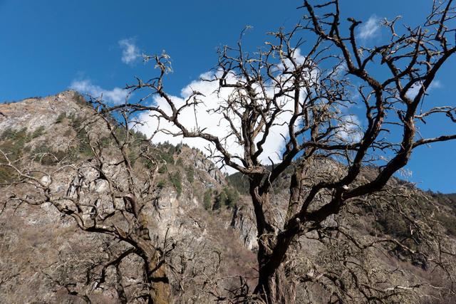 超多人选择徒步去雨崩,因为这里囊括了世界最美的景色休闲区蓝鸢梦想 - Www.slyday.coM 超多人选择徒步去雨崩,因为这里囊括了世界最美的景色休闲区蓝鸢梦想 - Www.slyday.coM