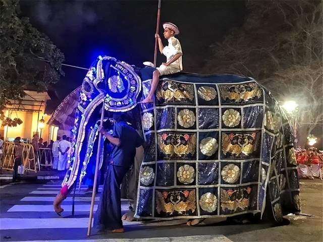 惨！你见过这样瘦骨嶙峋的大象吗？动物可以被人类虐待得多惨？休闲区蓝鸢梦想 - Www.slyday.coM