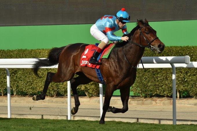 宝塚纪念赛前退赛的威信英明经过检查确诊为骨折