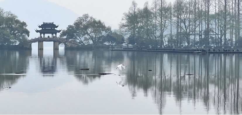 阿里的象限聚焦和瓴羊独立的关键命题休闲区蓝鸢梦想 - Www.slyday.coM