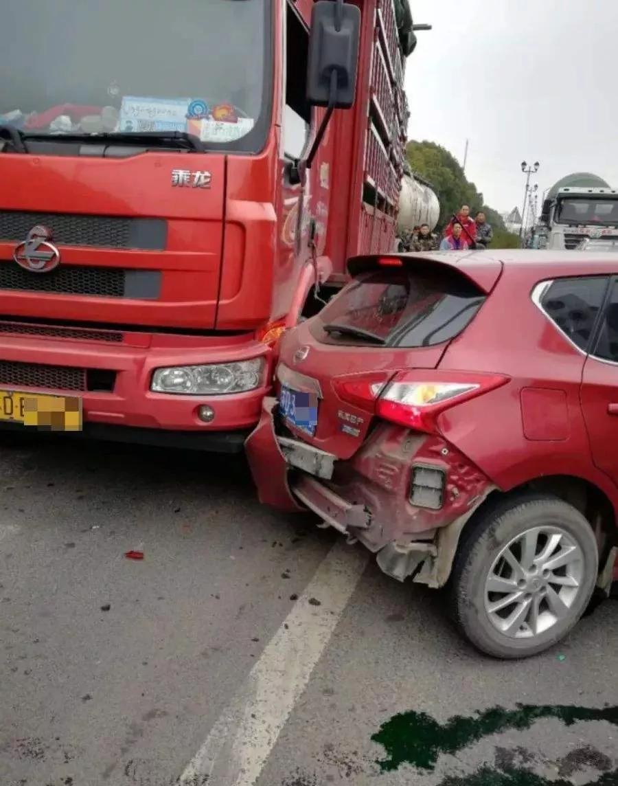 开车不要犟嘴，你能懂吗？休闲区蓝鸢梦想 - Www.slyday.coM