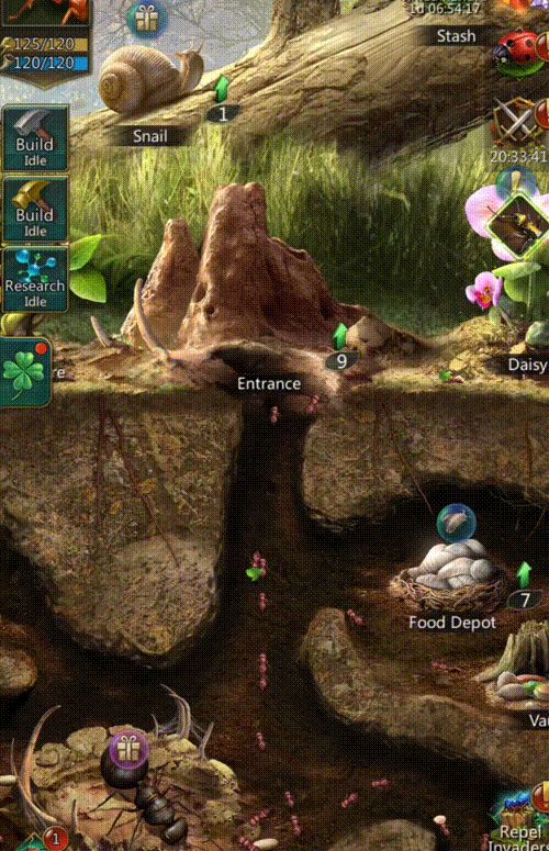 海外营收抬头，三七又一款SLG开始发力了休闲区蓝鸢梦想 - Www.slyday.coM