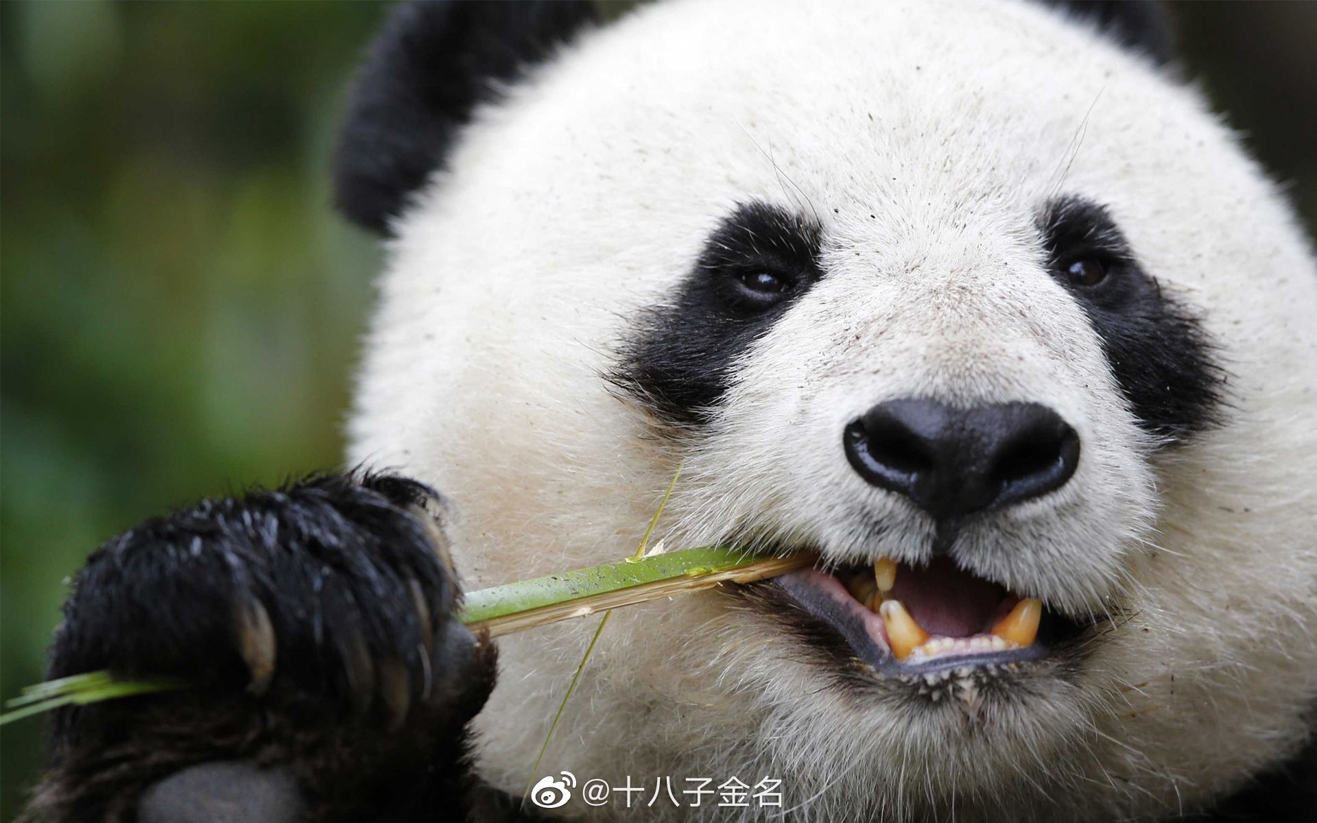 这是一句在熟悉不过的公益广告了：没有买卖就没有杀害……休闲区蓝鸢梦想 - Www.slyday.coM