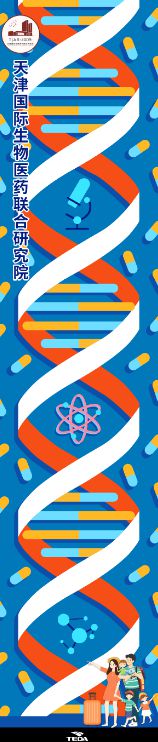 好玩又好逛！天津这些地方要发放旅游消费券！休闲区蓝鸢梦想 - Www.slyday.coM