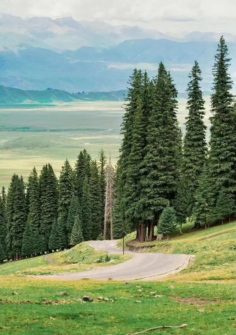 暑期游新疆，重庆人选这款双飞游就对了！往返直飞，8天深度游，穿越独库公路休闲区蓝鸢梦想 - Www.slyday.coM
