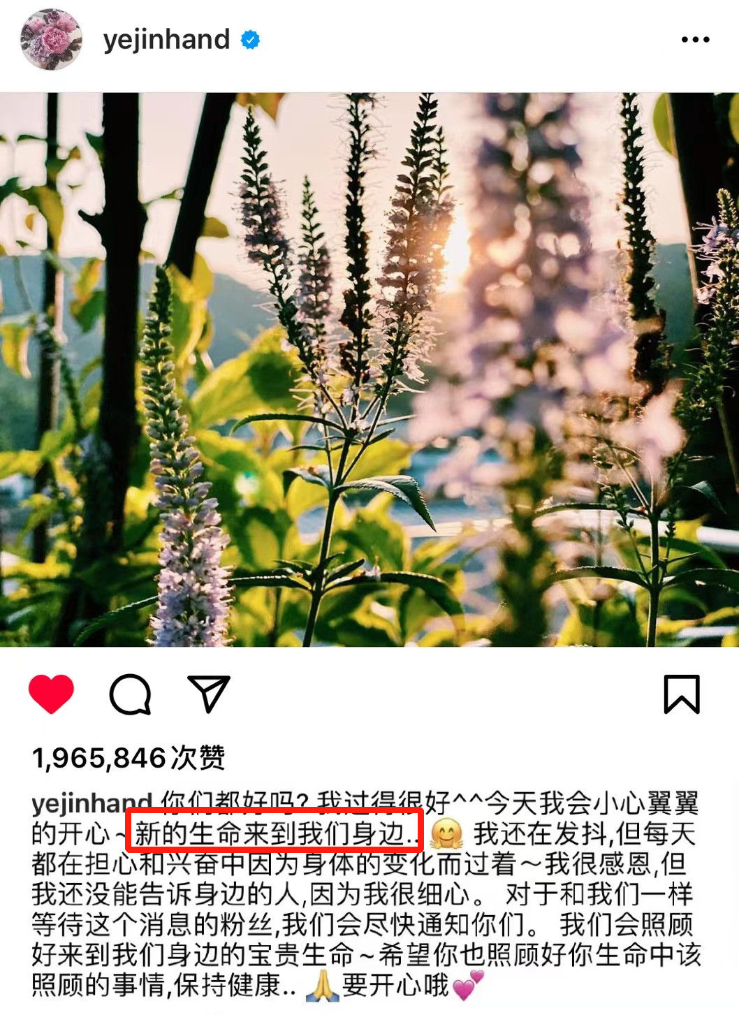 藏孕肚是顶流大婚前的必备技能？这么减肥对孩子颜值没影响吗…休闲区蓝鸢梦想 - Www.slyday.coM