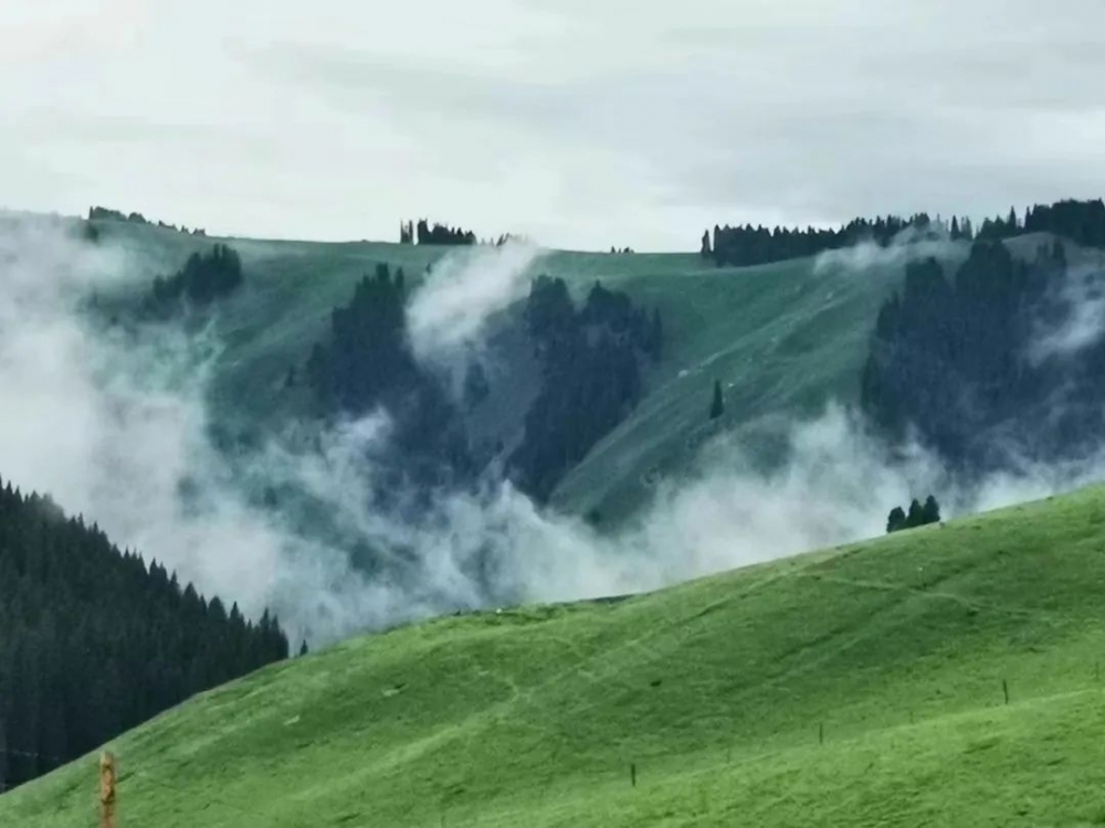 暑期游新疆，重庆人选这款双飞游就对了！往返直飞，8天深度游，穿越独库公路休闲区蓝鸢梦想 - Www.slyday.coM