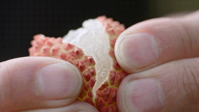 吃荔枝，还真得看中国人的休闲区蓝鸢梦想 - Www.slyday.coM