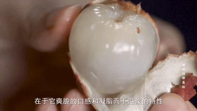 吃荔枝，还真得看中国人的休闲区蓝鸢梦想 - Www.slyday.coM