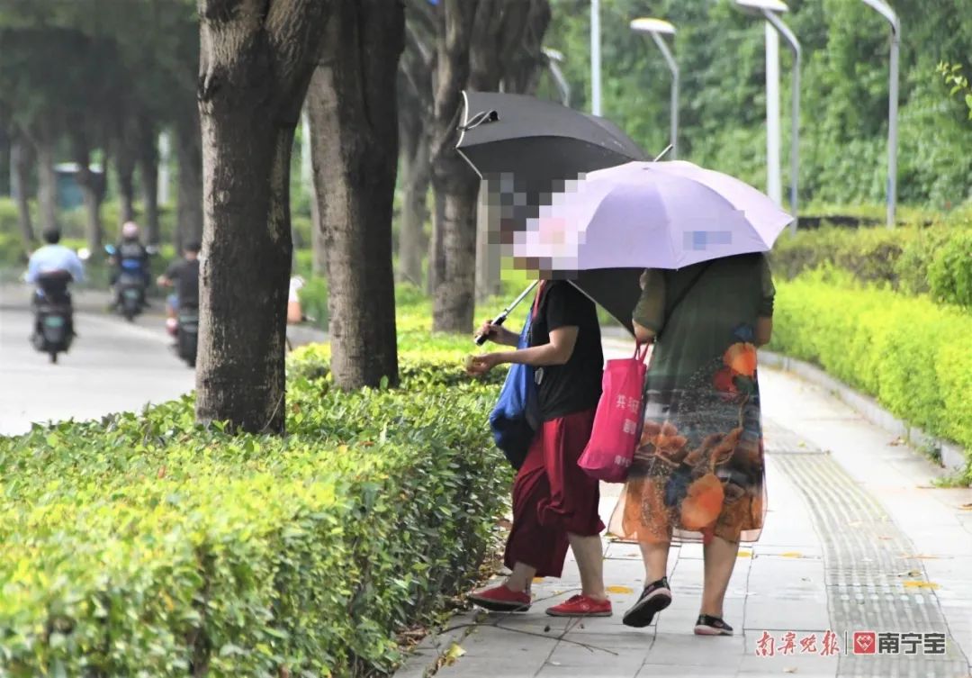 诱人！南宁路边的水果熟了，来看看有没有你爱的休闲区蓝鸢梦想 - Www.slyday.coM