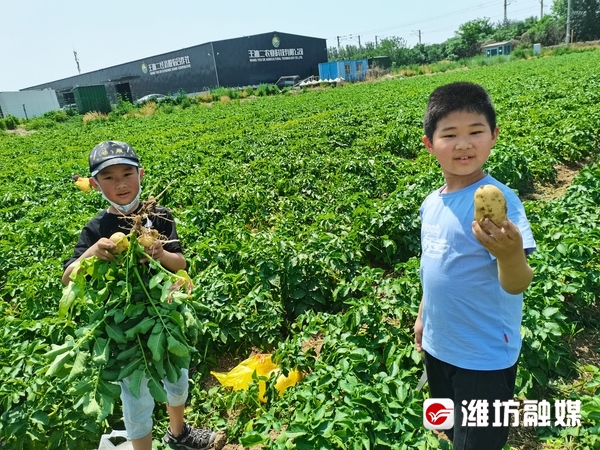 劳动课怎么上效果才好？看潍坊这些学校的匠心实践休闲区蓝鸢梦想 - Www.slyday.coM