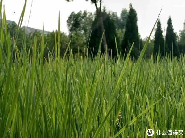 普通用户眼中的信仰，却是专业人士的最爱：索尼Xperia 1 IV体验测评休闲区蓝鸢梦想 - Www.slyday.coM