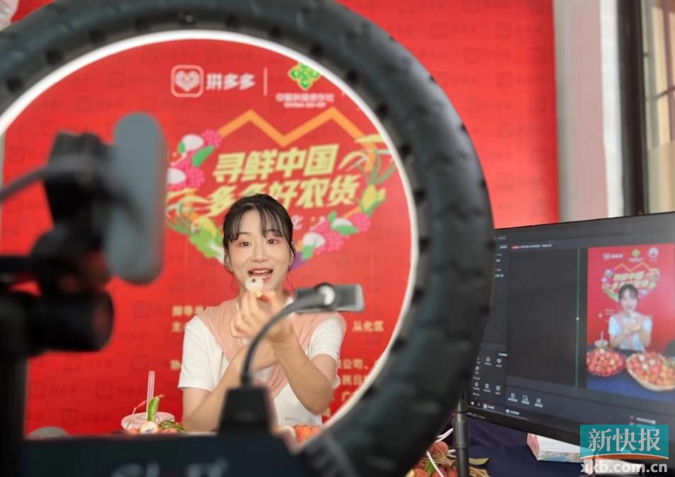 近250万网友涌进拼多多直播间！“寻鲜中国”告诉你北回归线上的荔枝有多好吃休闲区蓝鸢梦想 - Www.slyday.coM