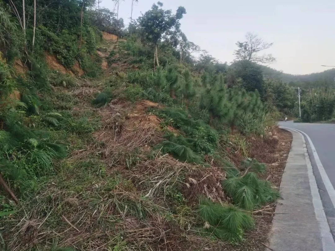 又双叒要下雨了？不怕，这5座“安全墙”筑好了！休闲区蓝鸢梦想 - Www.slyday.coM