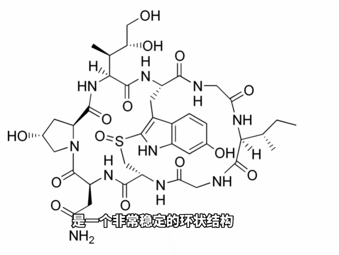 “红伞白杆”可能并不是最毒的蘑菇，真正可怕的其实是……休闲区蓝鸢梦想 - Www.slyday.coM