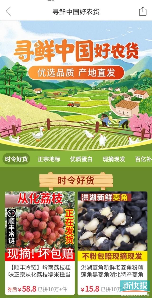 近250万网友涌进拼多多直播间！“寻鲜中国”告诉你北回归线上的荔枝有多好吃休闲区蓝鸢梦想 - Www.slyday.coM