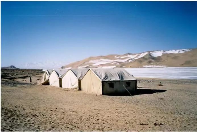 兔狲的家乡也太旱了，蛇都被晒成了干儿!休闲区蓝鸢梦想 - Www.slyday.coM