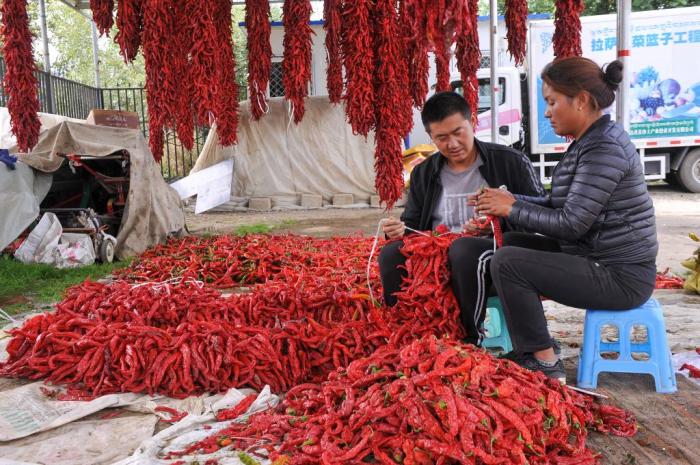 同行有你  共创和顺、和谐、和睦的西藏休闲区蓝鸢梦想 - Www.slyday.coM