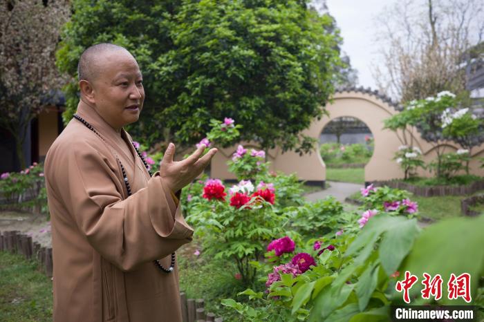 四川省佛教协会副会长释素全：爱都在每个人的心里休闲区蓝鸢梦想 - Www.slyday.coM