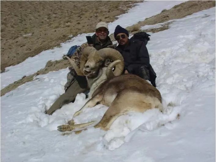 兔狲的家乡也太旱了，蛇都被晒成了干儿!休闲区蓝鸢梦想 - Www.slyday.coM