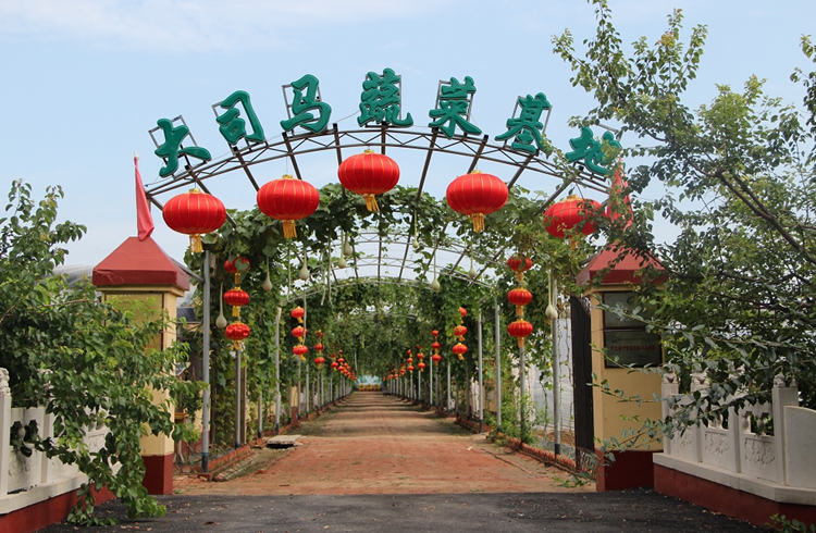 大司马蔬菜基地