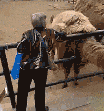 什么是快乐星球？中银跨境GO话你知！休闲区蓝鸢梦想 - Www.slyday.coM