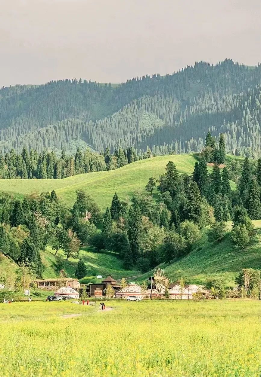 暑期游新疆，重庆人选这款双飞游就对了！往返直飞，8天深度游，穿越独库公路休闲区蓝鸢梦想 - Www.slyday.coM