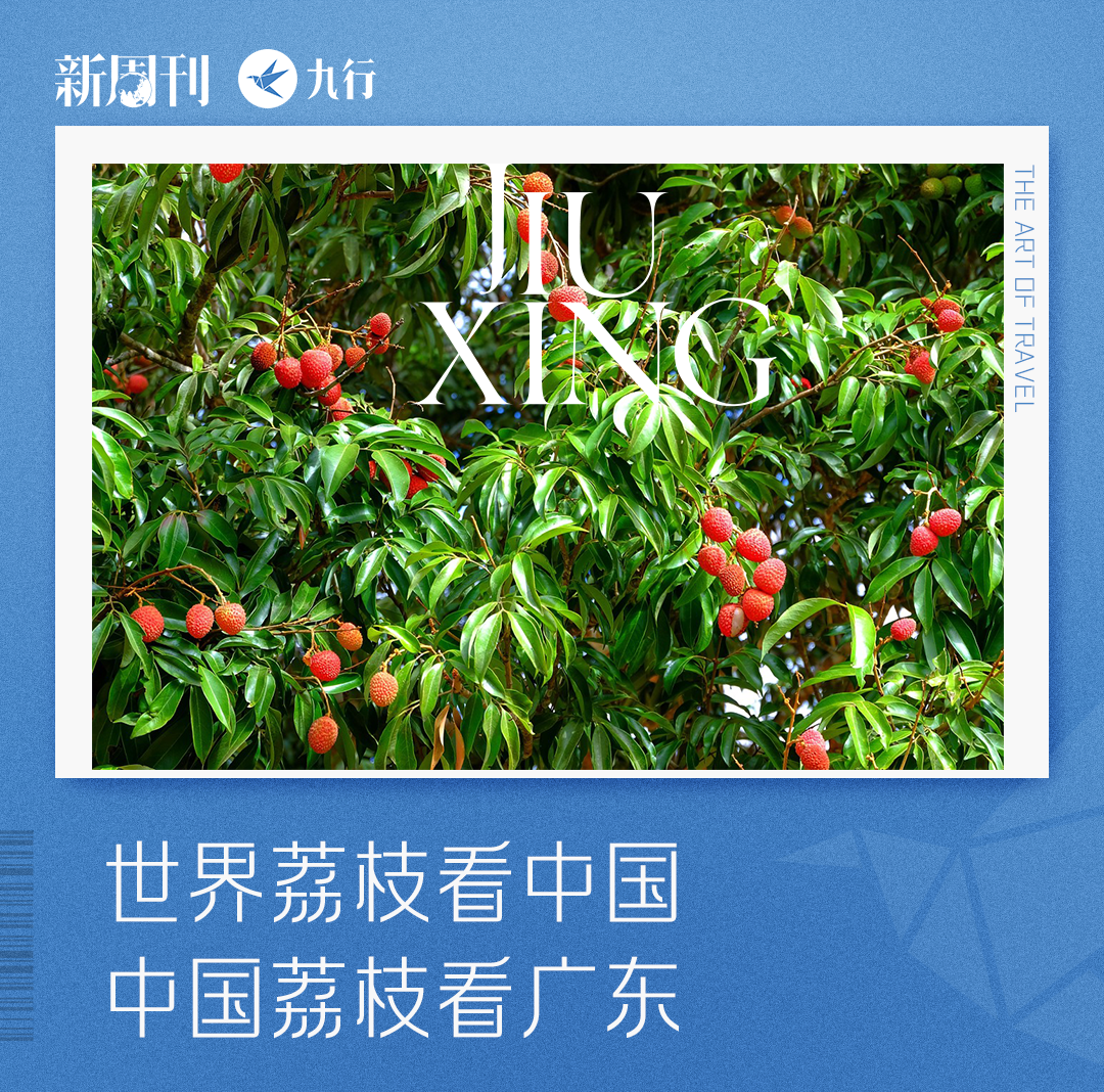 吃荔枝，还真得看中国人的休闲区蓝鸢梦想 - Www.slyday.coM