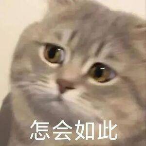 热闻｜热搜登顶！高价雪糕卖不动了，你怀念小时候的那些冰棍吗？休闲区蓝鸢梦想 - Www.slyday.coM