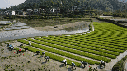 6月30日最佳情报休闲区蓝鸢梦想 - Www.slyday.coM