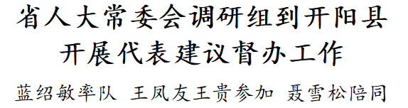 贵州省人大常委会调研组到开阳县开展代表建议督办工作休闲区蓝鸢梦想 - Www.slyday.coM