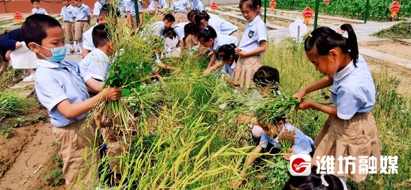 劳动课怎么上效果才好？看潍坊这些学校的匠心实践休闲区蓝鸢梦想 - Www.slyday.coM